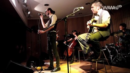 ENDIRECTO TARÁNTULA - CONDES DE BARCELONA