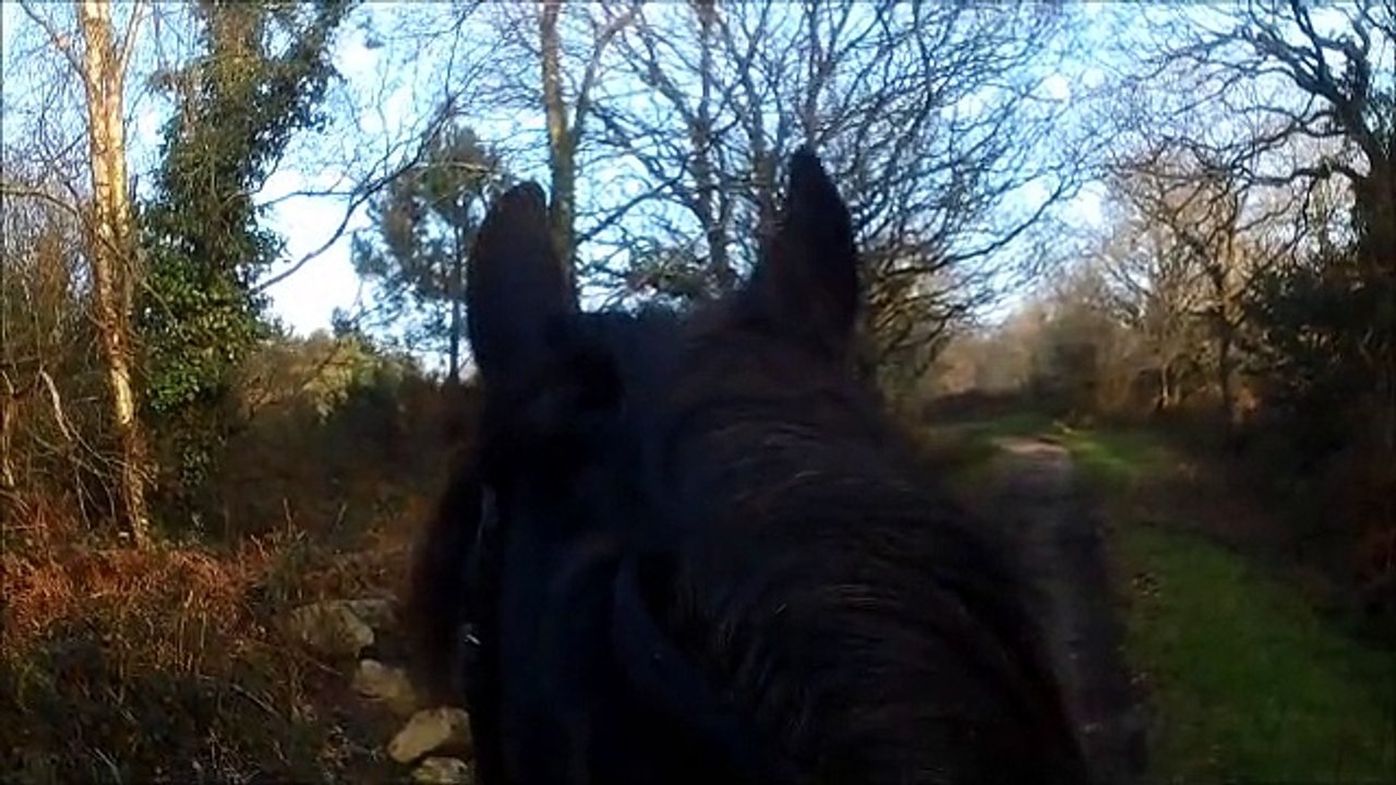 Hégon, 4 ans 1/2 promenade du 23/01/15