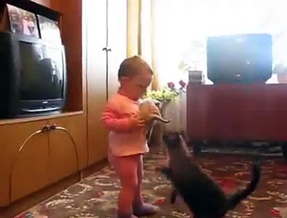 Une chatte qui veut récupérer son chaton des mains d'un enfant