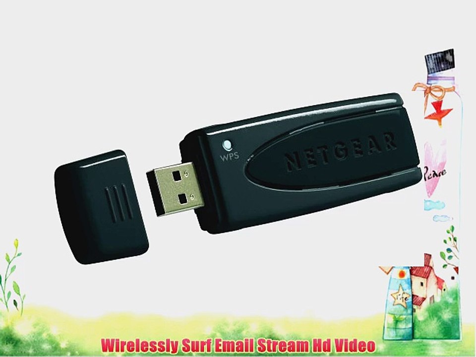 NETGEAR RangeMax Dual Band Wireless-N Adapter WNDA3100 v2