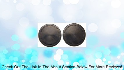 Felpro ES 72308 Cam Plug Set Review