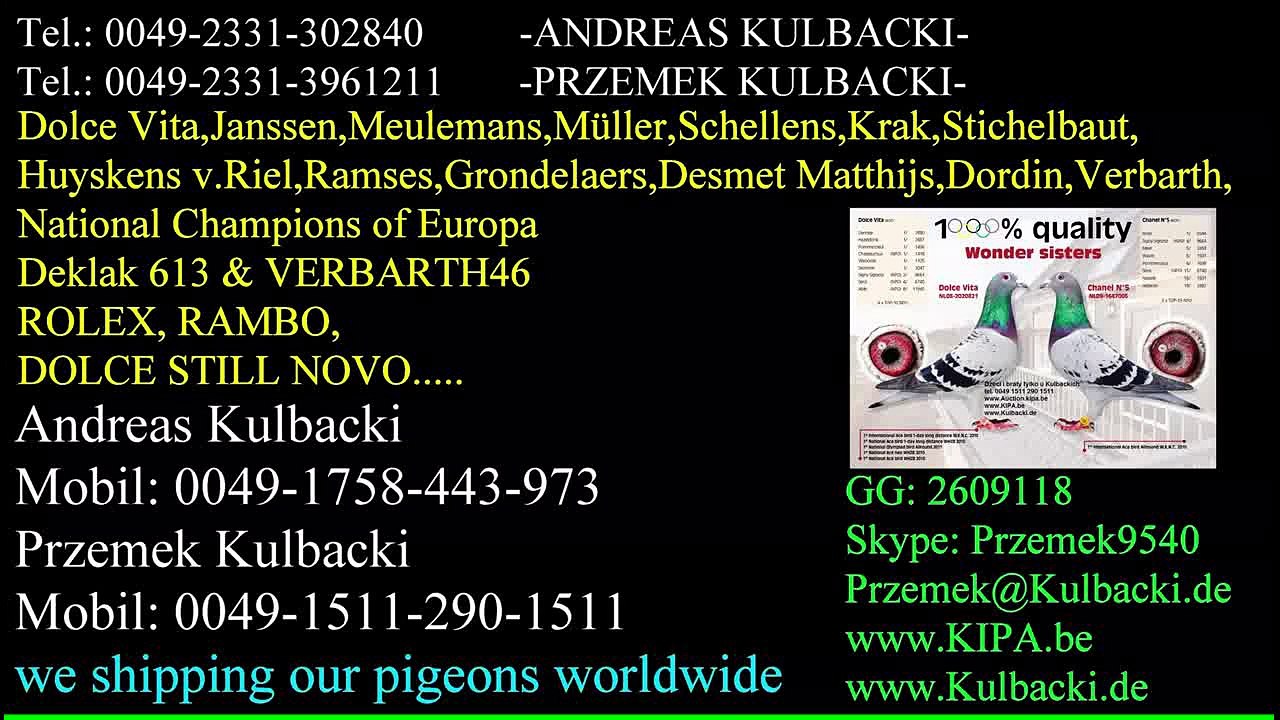Czesc 4_6 , Laxa - Lot 5 & 6, Racing Pigeons Rasa KULBACKI w Szwecji, Rasse KULBACKI in Schweden