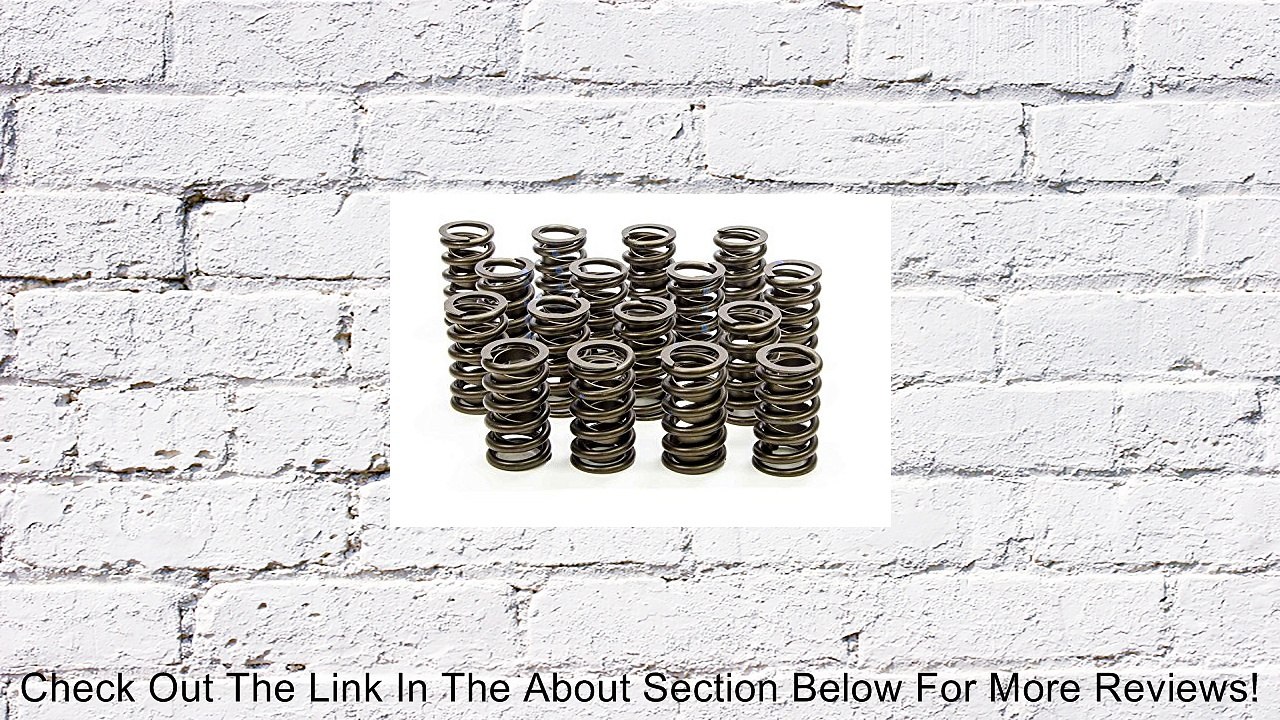 Isky Racing Cams 295-D 1.26" Valve Spring Review