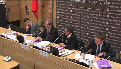 Audition de M. Didier Guérin, pdt de la chambre criminelle de la Cour de cassation - Vendredi 23 Janvier 2015