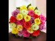 1800giftportal.com -  Valentine Gifts,Best Roses,Flowers,Birth day Cakes And More items For Any Occasion.