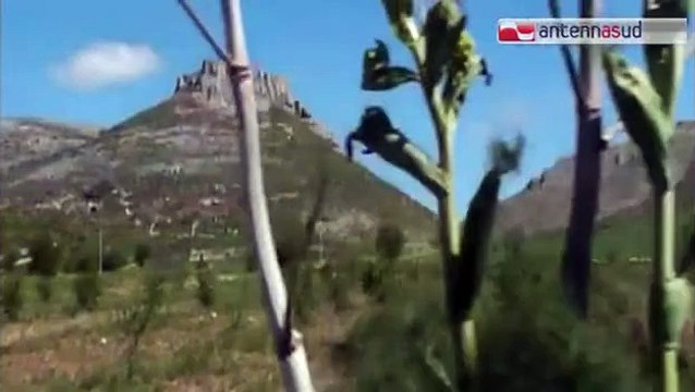 TG 23.01.15 Parco dell'Alta Murgia, arriva la prima guida dedicata al cuore di pietra della Puglia