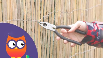 Comment poser des végétaux contre un grillage (Ooreka.fr)