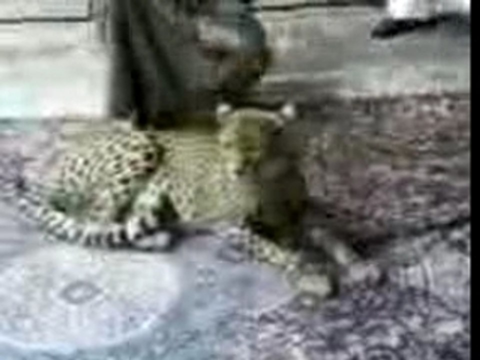 خلك رجال