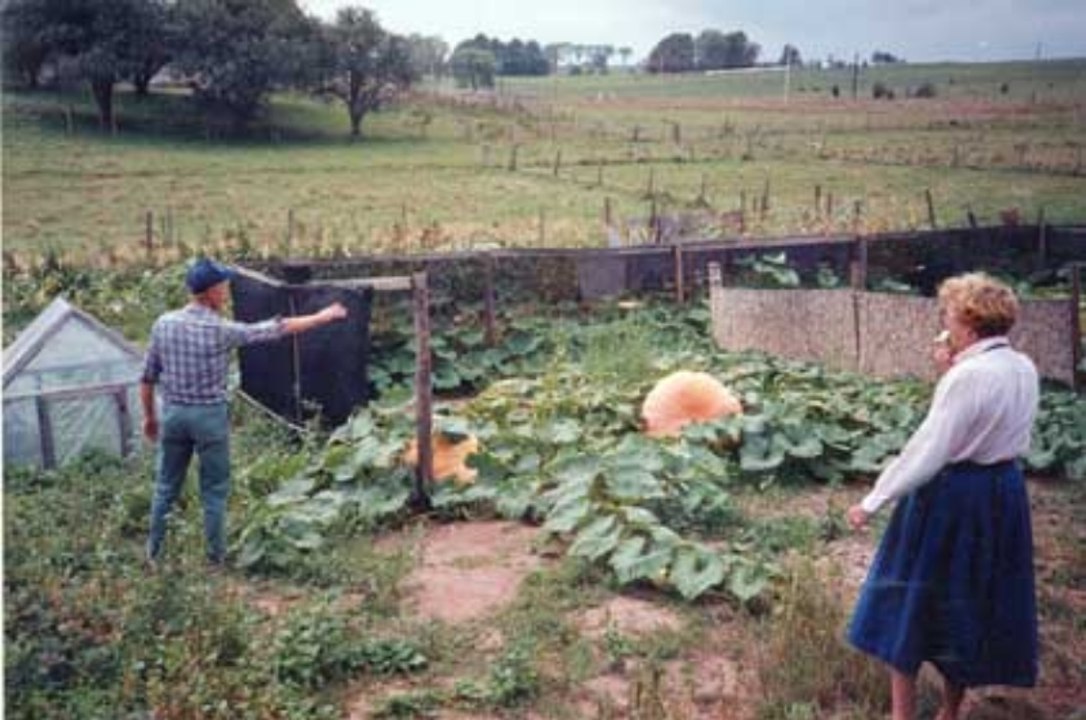 Hants County Exhibition  2014 in Windsor Nova Scotia