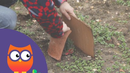 Comment protéger ses plantations de l'hiver (Ooreka.fr)