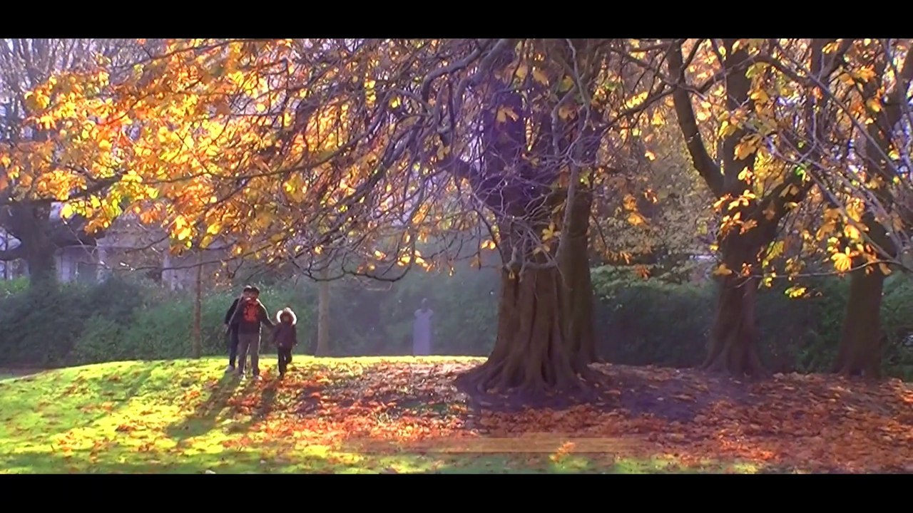 St Stephen's Green Park Dublin Ireland (Family Outing - Private video)