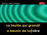 KARAOKE MIKE BRANT - Laisse moi t'aimer