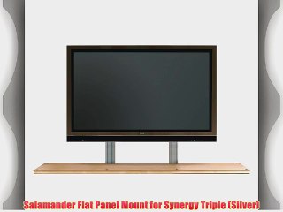Salamander Flat Panel Mount for Synergy Triple (Silver)
