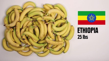 Prix de la nourriture a travers le monde