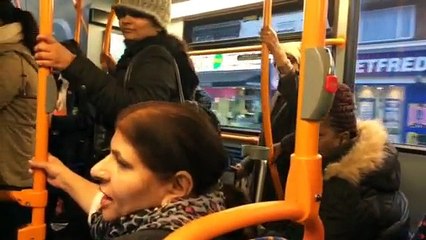 ladies fight in bus