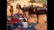 Morocco Nomads Expeditions Tours I ReadyMoroccoTours