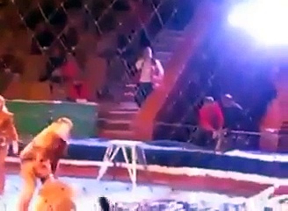 Lion attack on a man