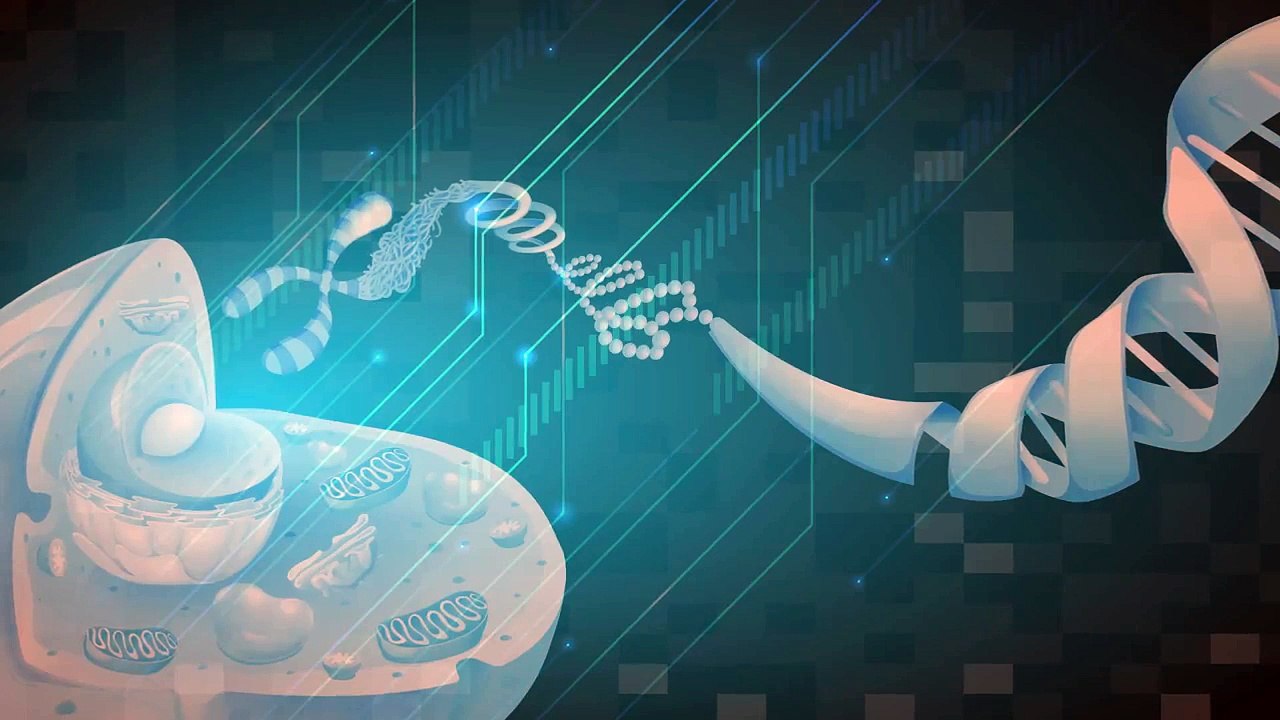 The 5 Most Important Molecules in Your Body