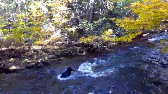 PPK Russian Trance Formation - I Have A Dream