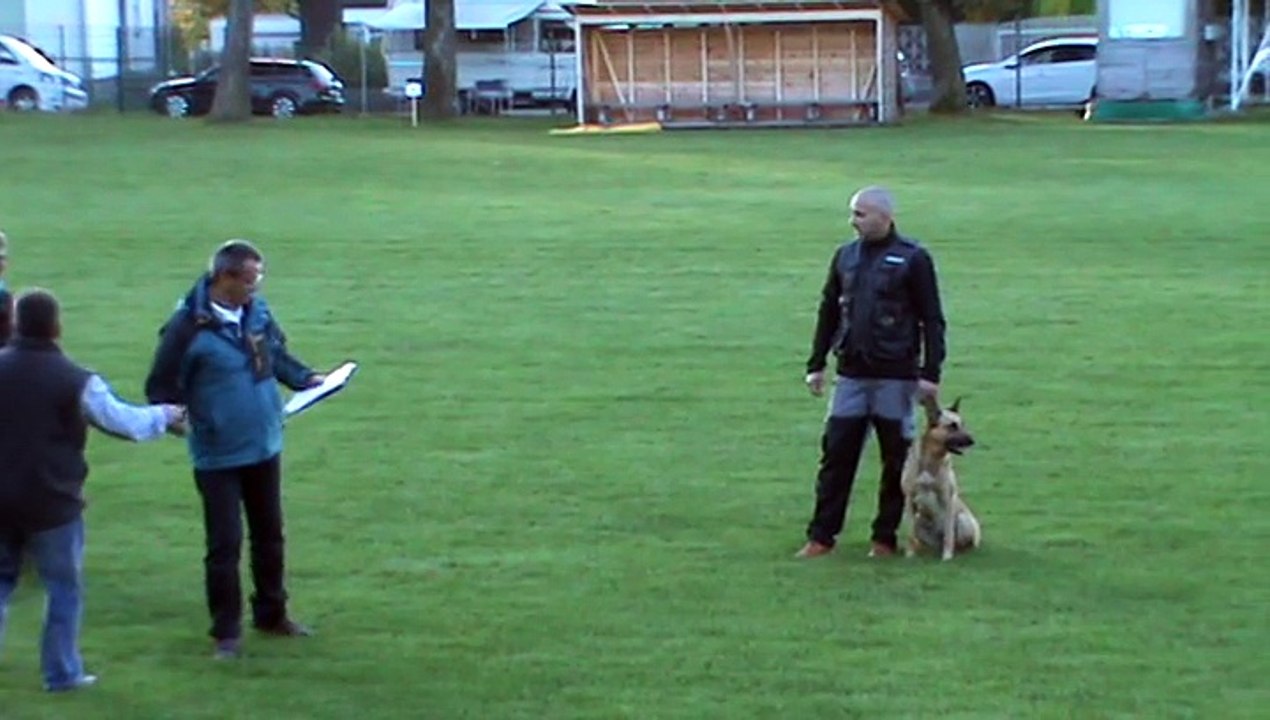 Be Aware Cobra @ 1.FCI-WM Quali 2015 - Richterbesprechung Unterordnung