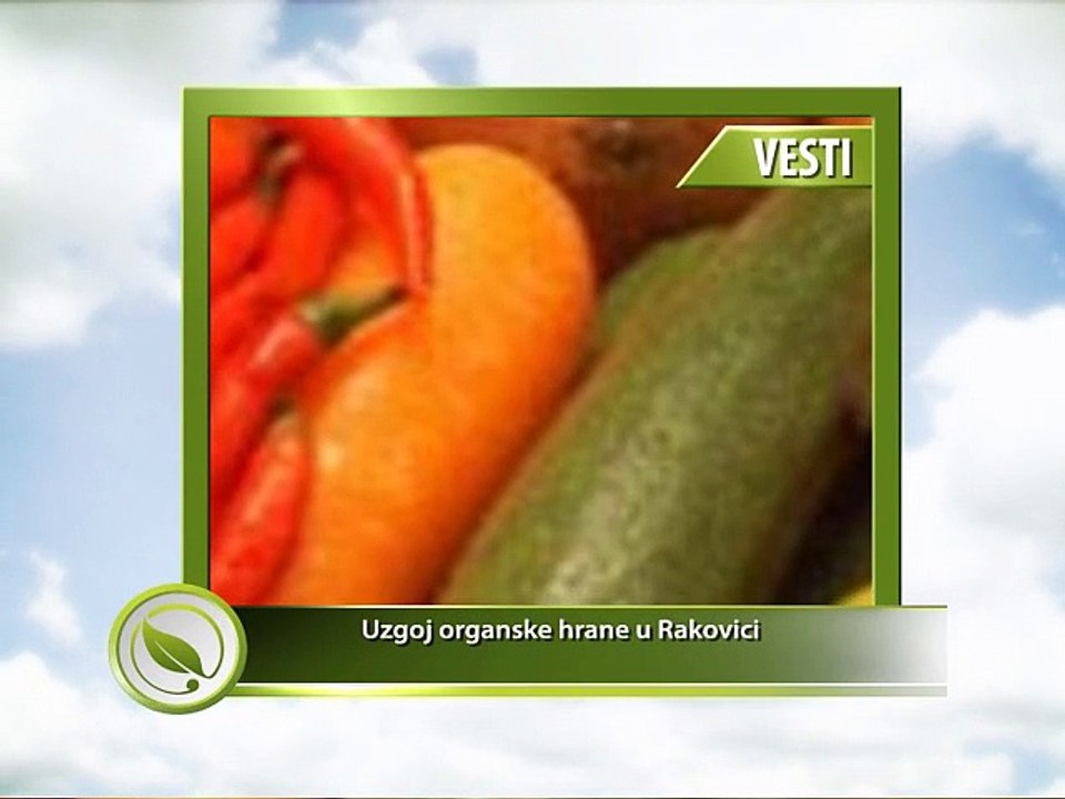 VESTI - Uzgoj organske hrane u Rakovici