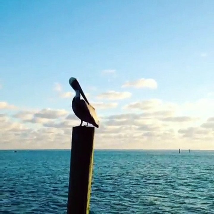 Keys