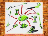 Greenworks Tools Set 2000007-A Tron?onneuse sans fil 24 V Lithium-ion