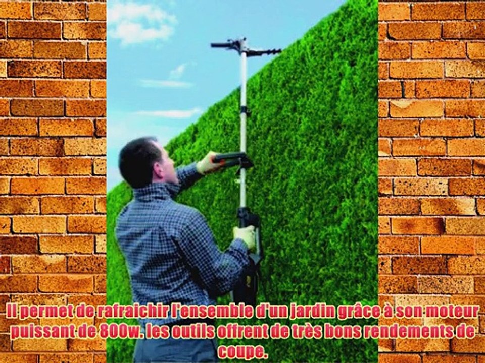 Fartools OMF 800 Outil modulable 4 en 1 jardin puissance 800 W Noir