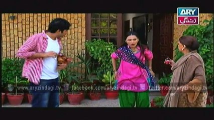 Meka Aur Susral, Episode 30, 24th January 2015