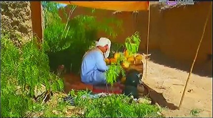 Nigebhan Episode 8 on Ptv in High Quality 24th January 2015
