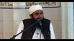 Dr Zakir Naik Answers 2015 Maulana Tariq Jameel & Tableeghi Jamaat Urdu Bangla Islam