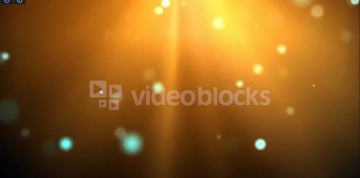 Free wedding petals animation background