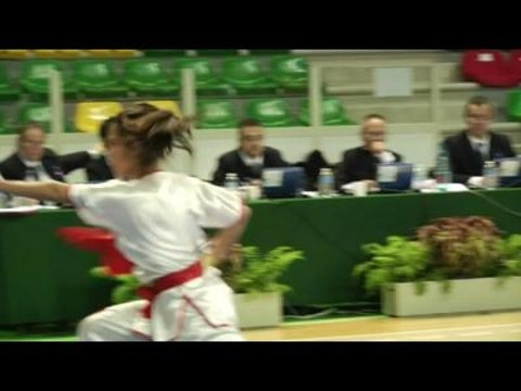 WUSHU : Le wushu pour les nuls