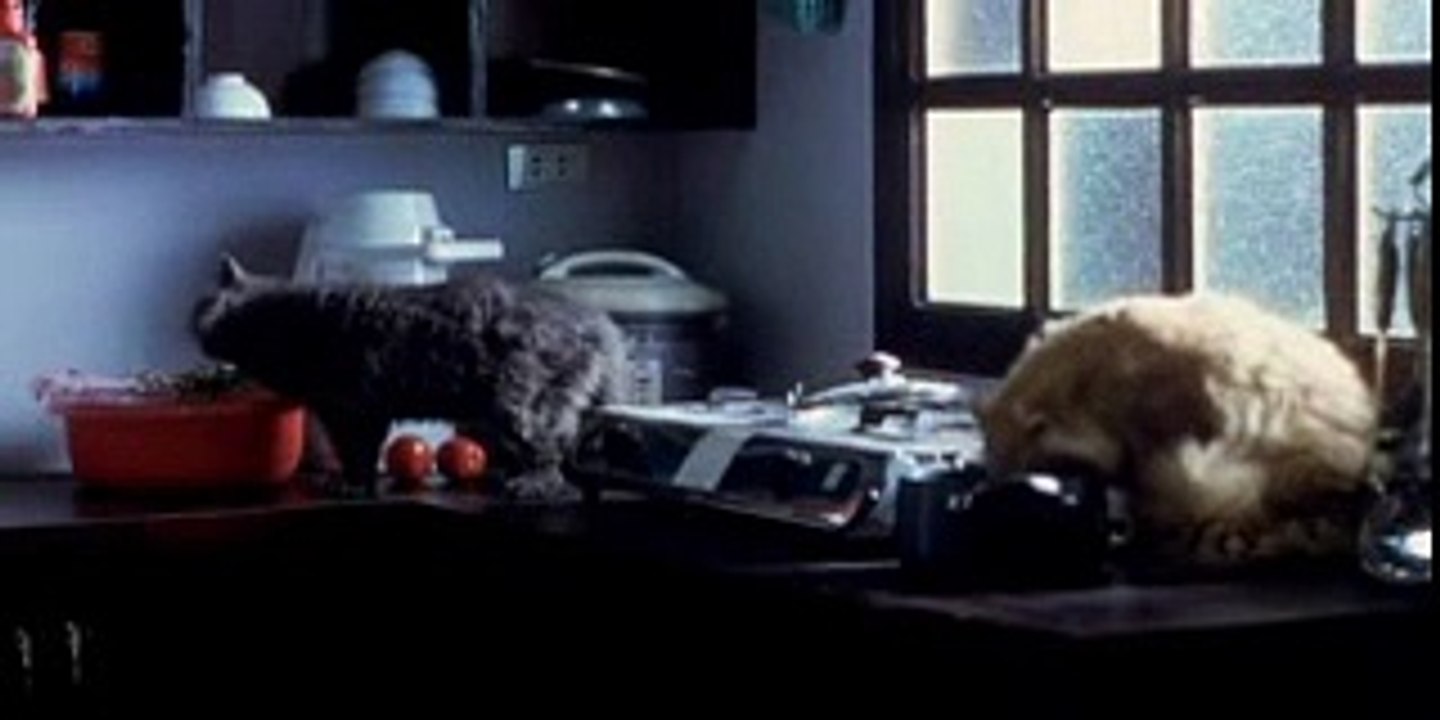 Lost In Paradise - Part 4