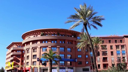 Maroc paysage 5 : Le sud 1 - Marrakech * La fleur des palmerais *