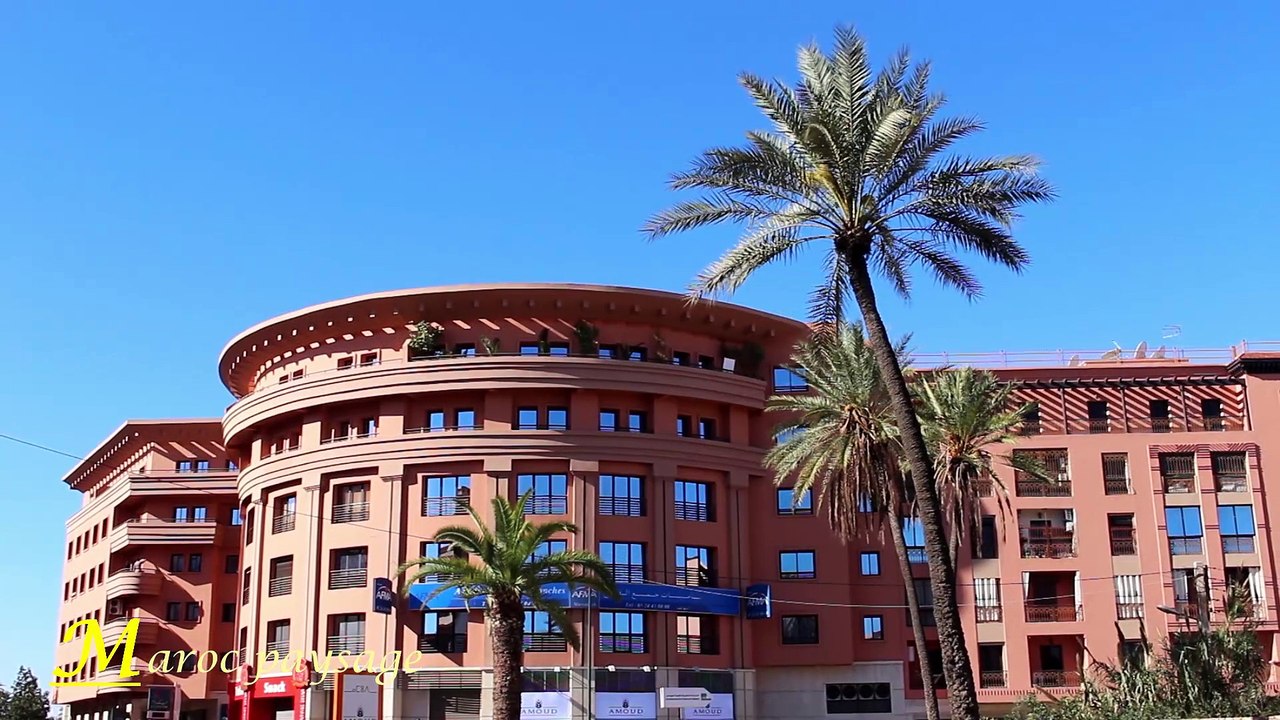 Maroc paysage 5 : Le sud 1 - Marrakech * La fleur des palmerais *