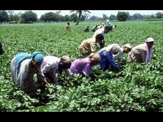 طل الصبح - أحمد سامى