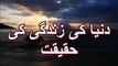 Duniya Ki Zindagi Ki Haqeeqat By Maulana Tariq Jameel [MUST WATCH]