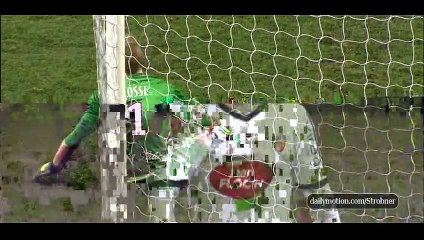 Guingamp 3-2 Lorient - (Own goal) Levêque - 24-01-2015