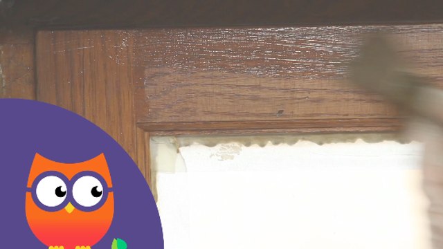 Comment traiter le bois d'une fenêtre (Ooreka.fr)