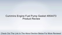 Cummins Engine Fuel Pump Gasket 4954473 Review