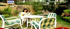 Dil Nahi Manta Episode 11 on Ary Digital in High Quality 24th January 2015