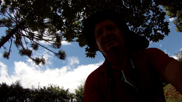 Aventura, Birdwatching, Serra da Mantiqueira, Hiking, Trilhas Rurais, rumo a Pedra do Báu, Sentido Leste, Marcelo Ambrogi, Santo Antonio do Pinhal, SP, Brasil, (24)