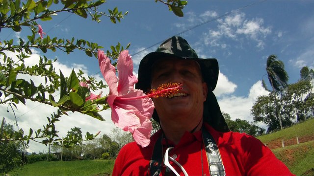 Aventura, Birdwatching, Serra da Mantiqueira, Hiking, Trilhas Rurais, rumo a Pedra do Báu, Sentido Leste, Marcelo Ambrogi, Santo Antonio do Pinhal, SP, Brasil, (10)