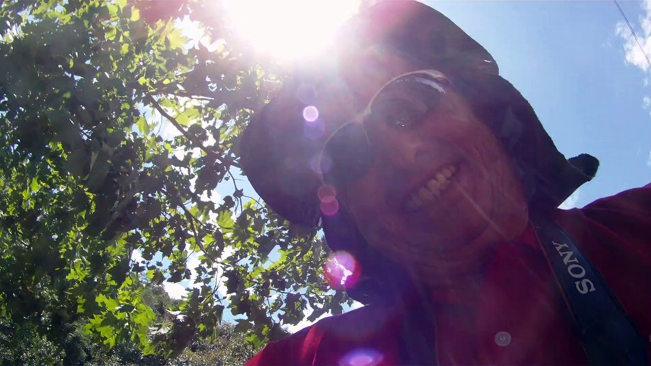 Aventura, Birdwatching, Serra da Mantiqueira, Hiking, Trilhas Rurais, rumo a Pedra do Báu, Sentido Leste, Marcelo Ambrogi, Santo Antonio do Pinhal, SP, Brasil, (11)