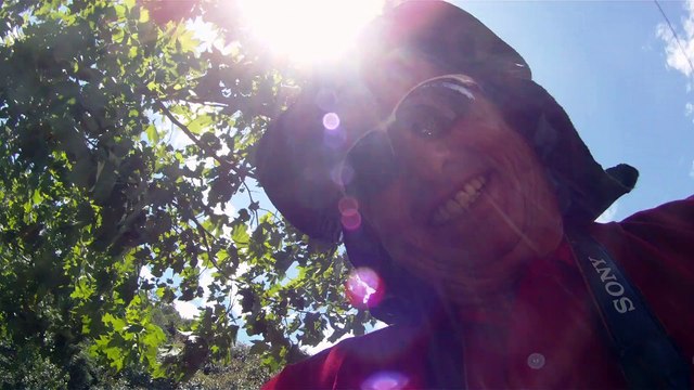 Aventura, Birdwatching, Serra da Mantiqueira, Hiking, Trilhas Rurais, rumo a Pedra do Báu, Sentido Leste, Marcelo Ambrogi, Santo Antonio do Pinhal, SP, Brasil, (11)