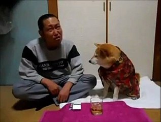 Dog As Best Friend Of human When Sad