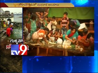 Godavari turns highly polluted, struggles to survive