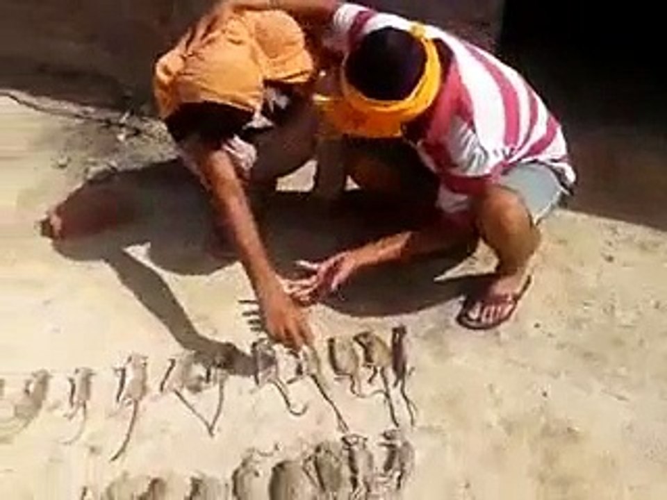 People Cry When Their Mouses Died