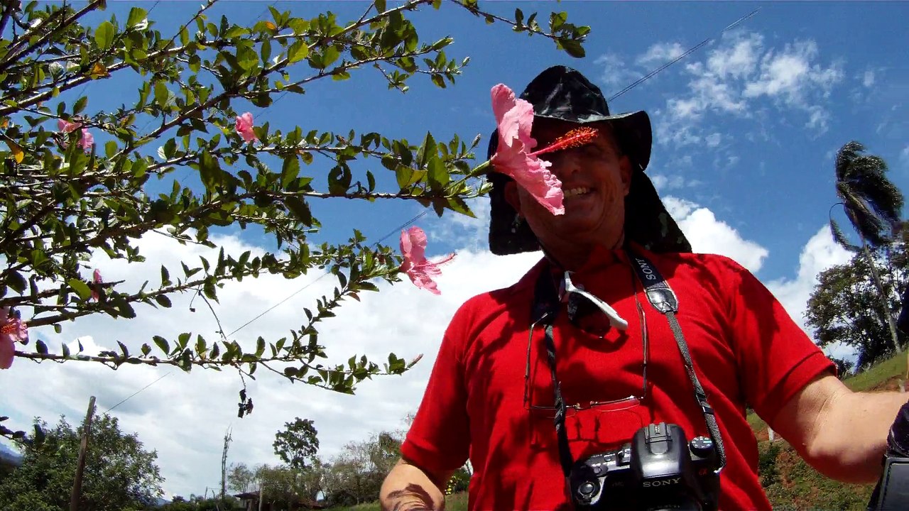 Aventura, Birdwatching, Serra da Mantiqueira, Hiking, Trilhas Rurais, rumo a Pedra do Báu, Sentido Leste, Marcelo Ambrogi, Santo Antonio do Pinhal, SP, Brasil, (20)
